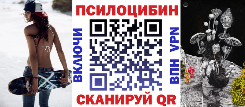 Купить  Кедровый  Галлюциногенные грибы MAGIC MUSHROOMS 