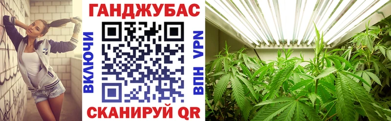 Купить где  Кедровый  Шишки марихуана White Widow 